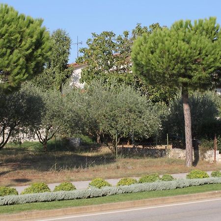 Apartments And Rooms With Parking Space Rovinj - 7170 Zewnętrze zdjęcie