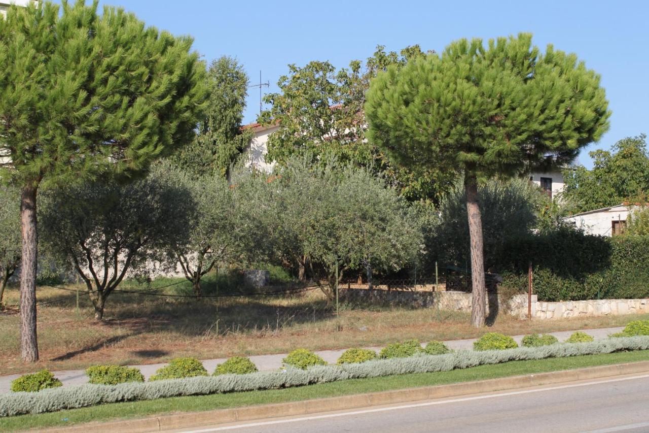 Apartments And Rooms With Parking Space Rovinj - 7170 Zewnętrze zdjęcie