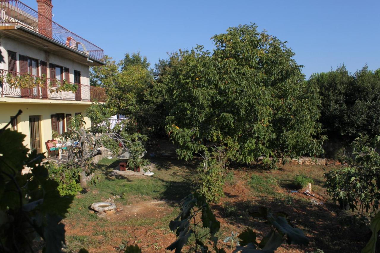 Apartments And Rooms With Parking Space Rovinj - 7170 Zewnętrze zdjęcie